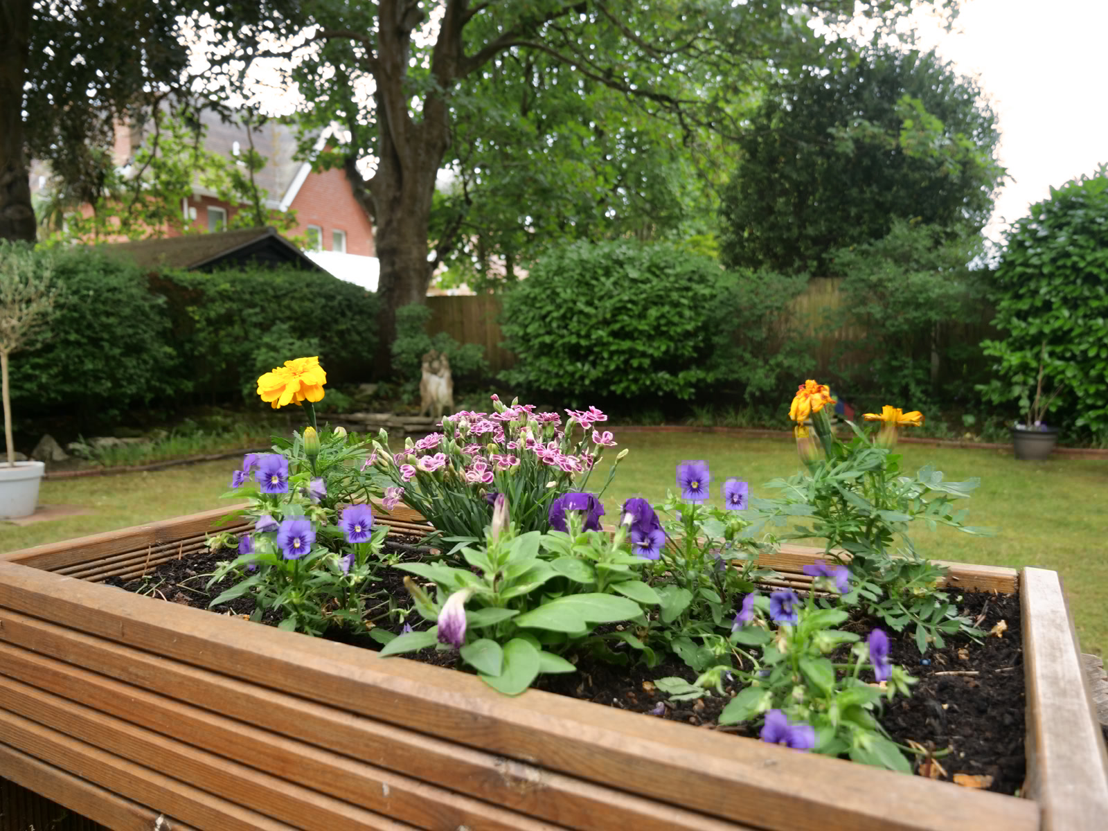 Chalgrove Care And Nursing Home